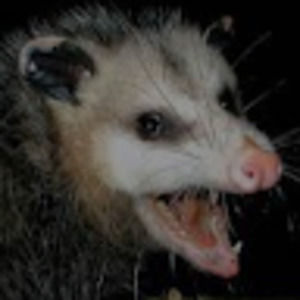 Meet your Posher, Berniece